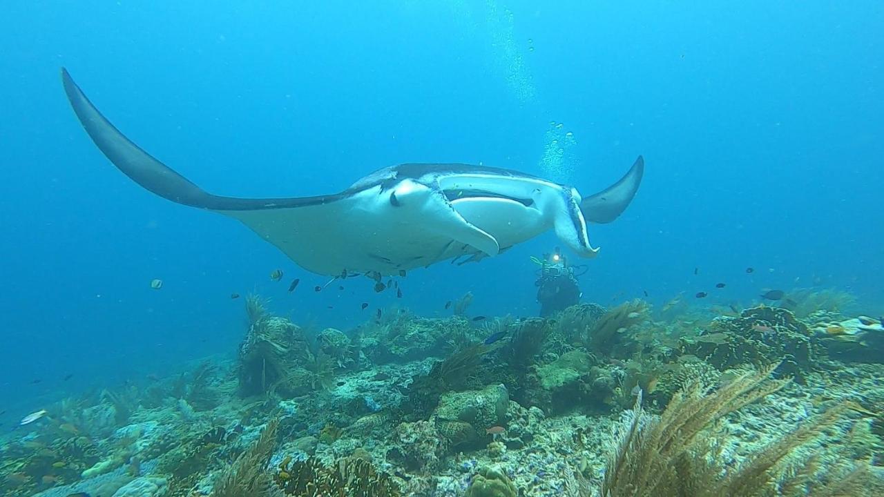 Tabari Dive Lodge Pulau Mansuar 外观 照片