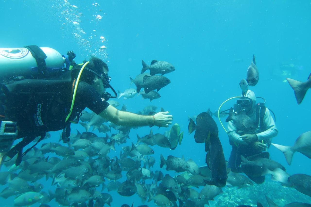 Tabari Dive Lodge Pulau Mansuar 外观 照片
