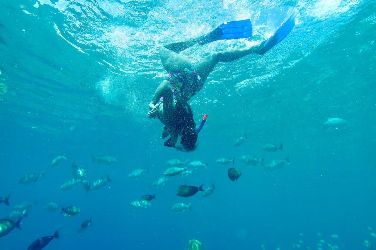 Tabari Dive Lodge Pulau Mansuar 外观 照片